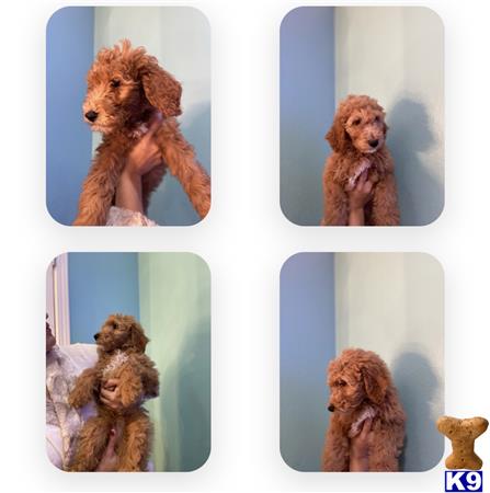 Ssoto87 Picture 2